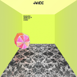 Album Review: Medeski Scofield Martin & Wood - Juice