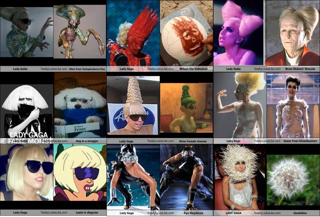 Chart: Nine Things That Lady Gaga Looks Like